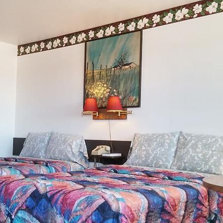 American Inn Motel 캐논시티 객실 사진